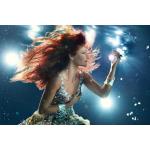 16-09-2013 - mcs_marketing - Andrea Berg - 2.jpg